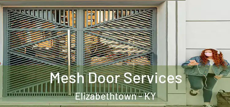 Mesh Door Services Elizabethtown - KY